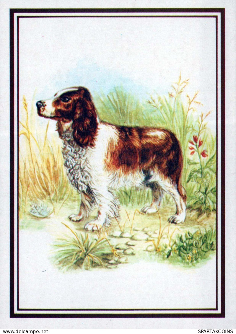 PERRO Animales Vintage Tarjeta Postal CPSM #PBQ374.ES - Dogs