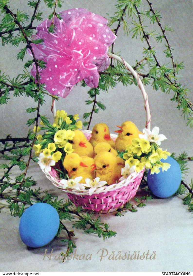 PASCUA POLLO HUEVO Vintage Tarjeta Postal CPSM #PBO855.ES - Easter