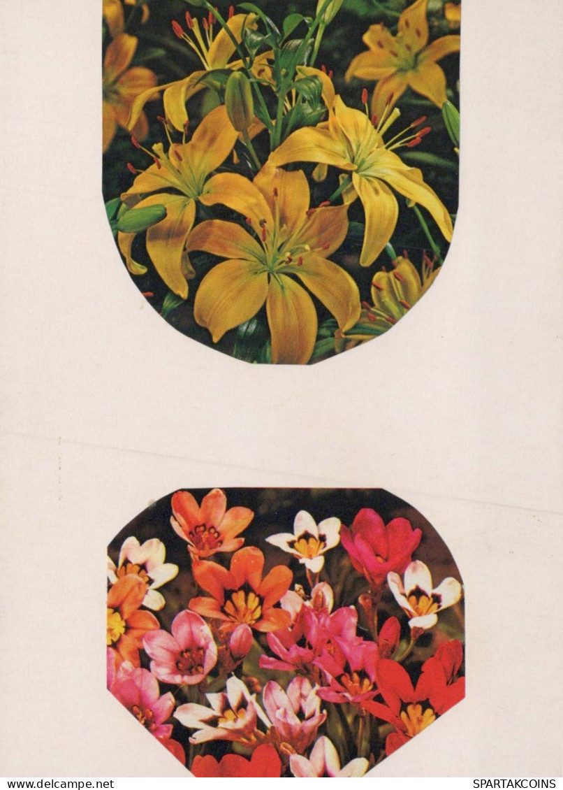 FLORES Vintage Tarjeta Postal CPSM #PAR312.ES - Flowers