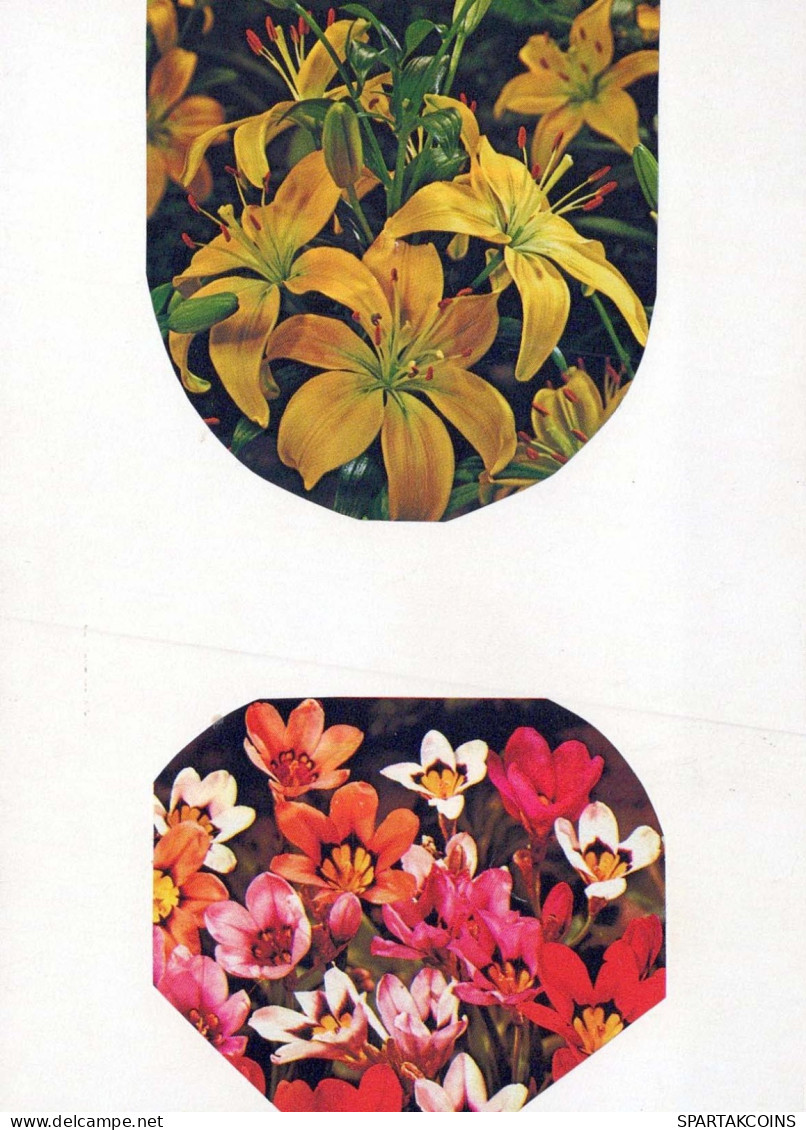 FLORES Vintage Tarjeta Postal CPSM #PAR312.ES - Fleurs