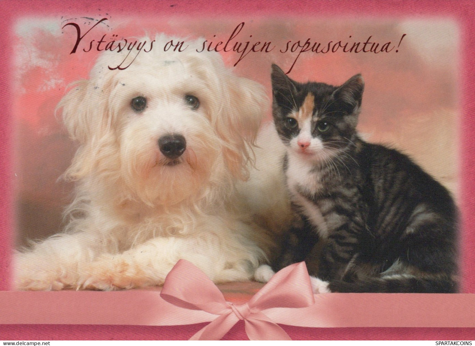 PERRO Animales Vintage Tarjeta Postal CPSM #PAN487.ES - Cani
