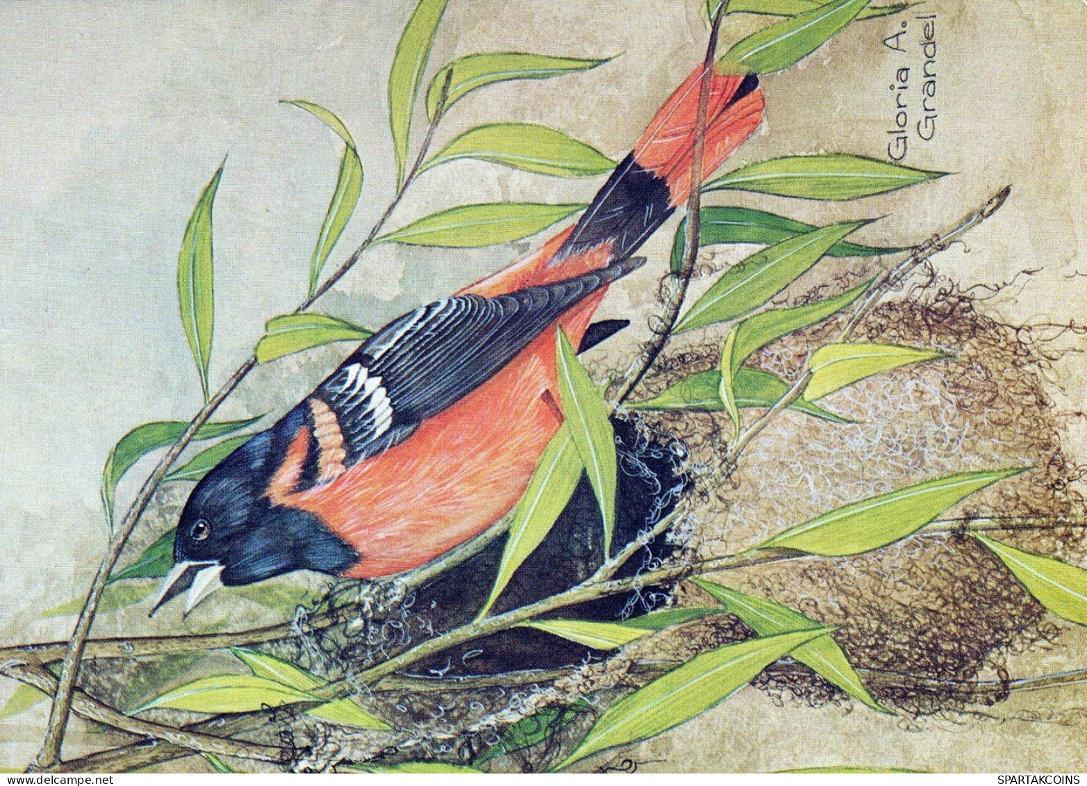 PÁJARO Animales Vintage Tarjeta Postal CPSM #PAN236.ES - Oiseaux
