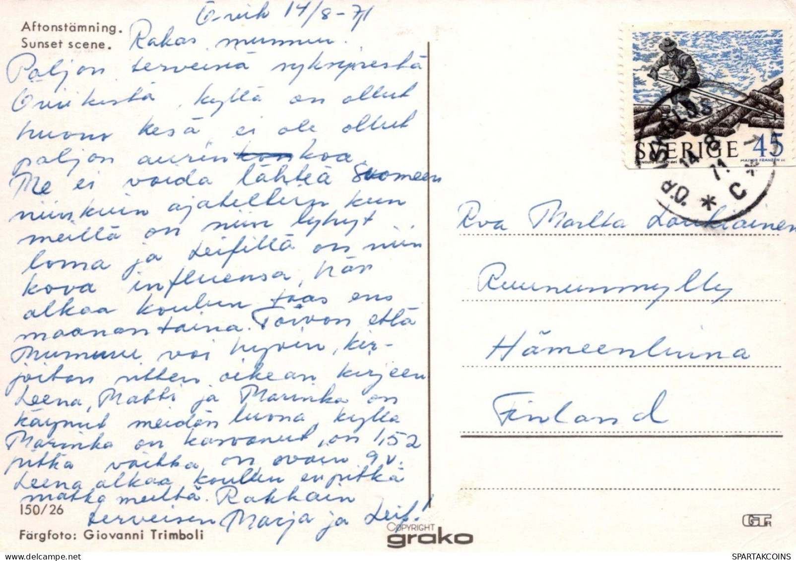 PÁJARO Animales Vintage Tarjeta Postal CPSM #PAM678.ES - Uccelli