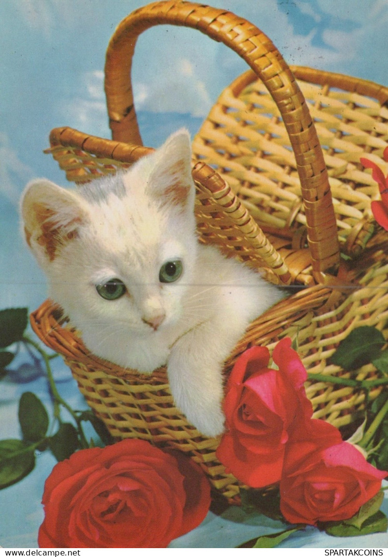GATO GATITO Animales Vintage Tarjeta Postal CPSM #PAM112.ES - Cats