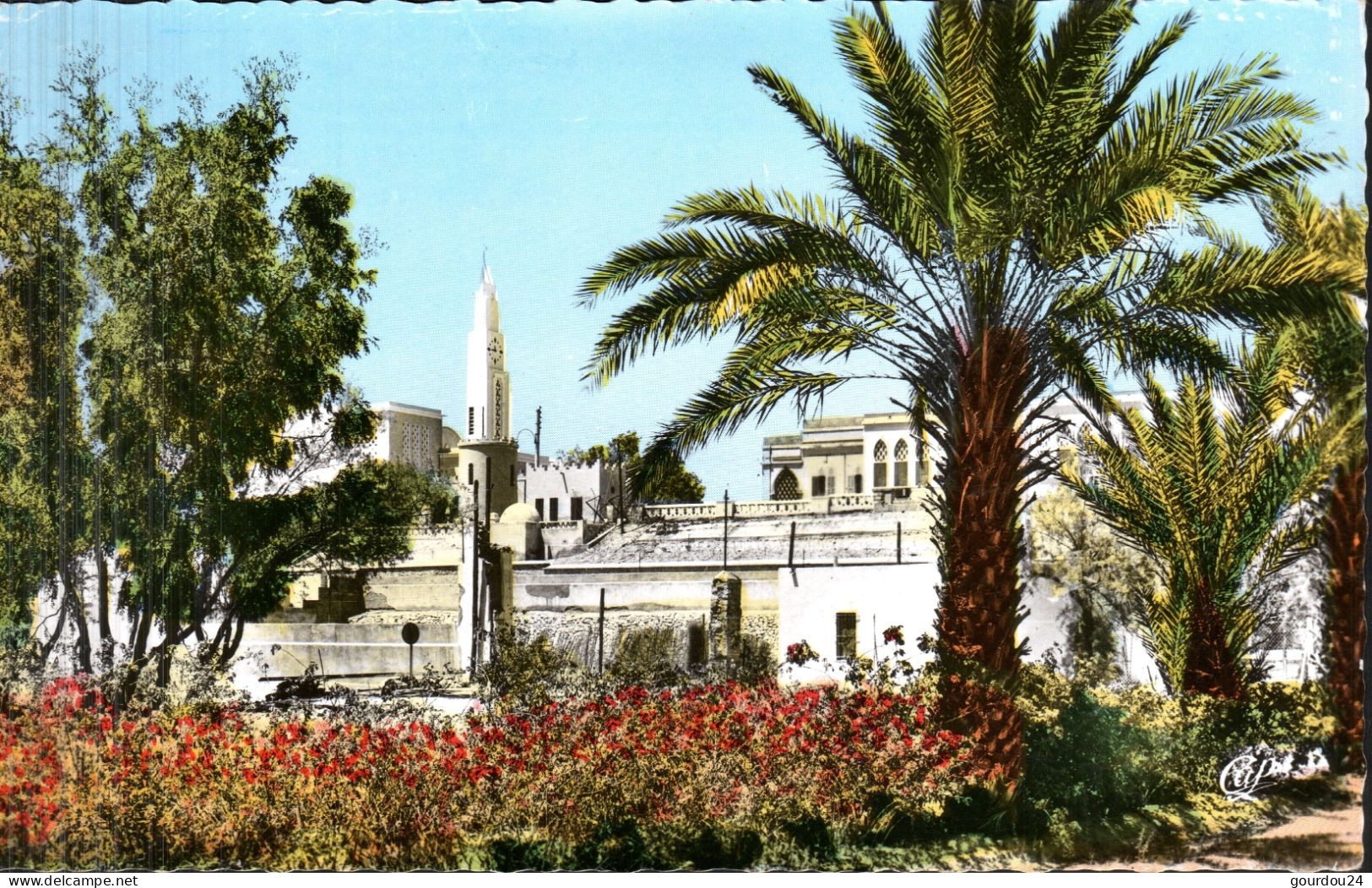 BECHARD - Vue Prise Du Jardin Public Vers L'église - Bechar (Colomb Béchar)