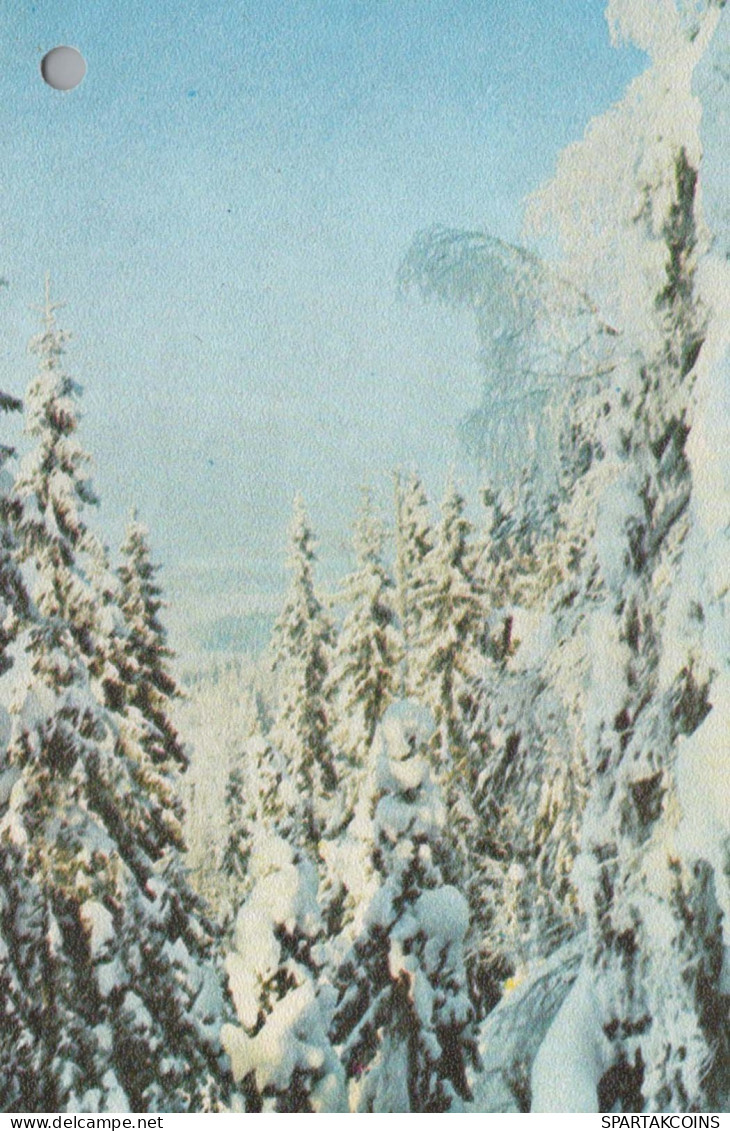 Bonne Année Noël Vintage Carte Postale CPSMPF #PKG281.FR - Nouvel An