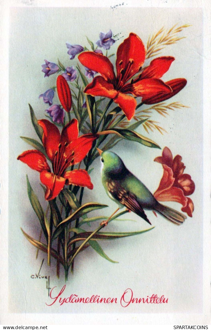 FLEURS Vintage Carte Postale CPSMPF #PKG100.FR - Fleurs