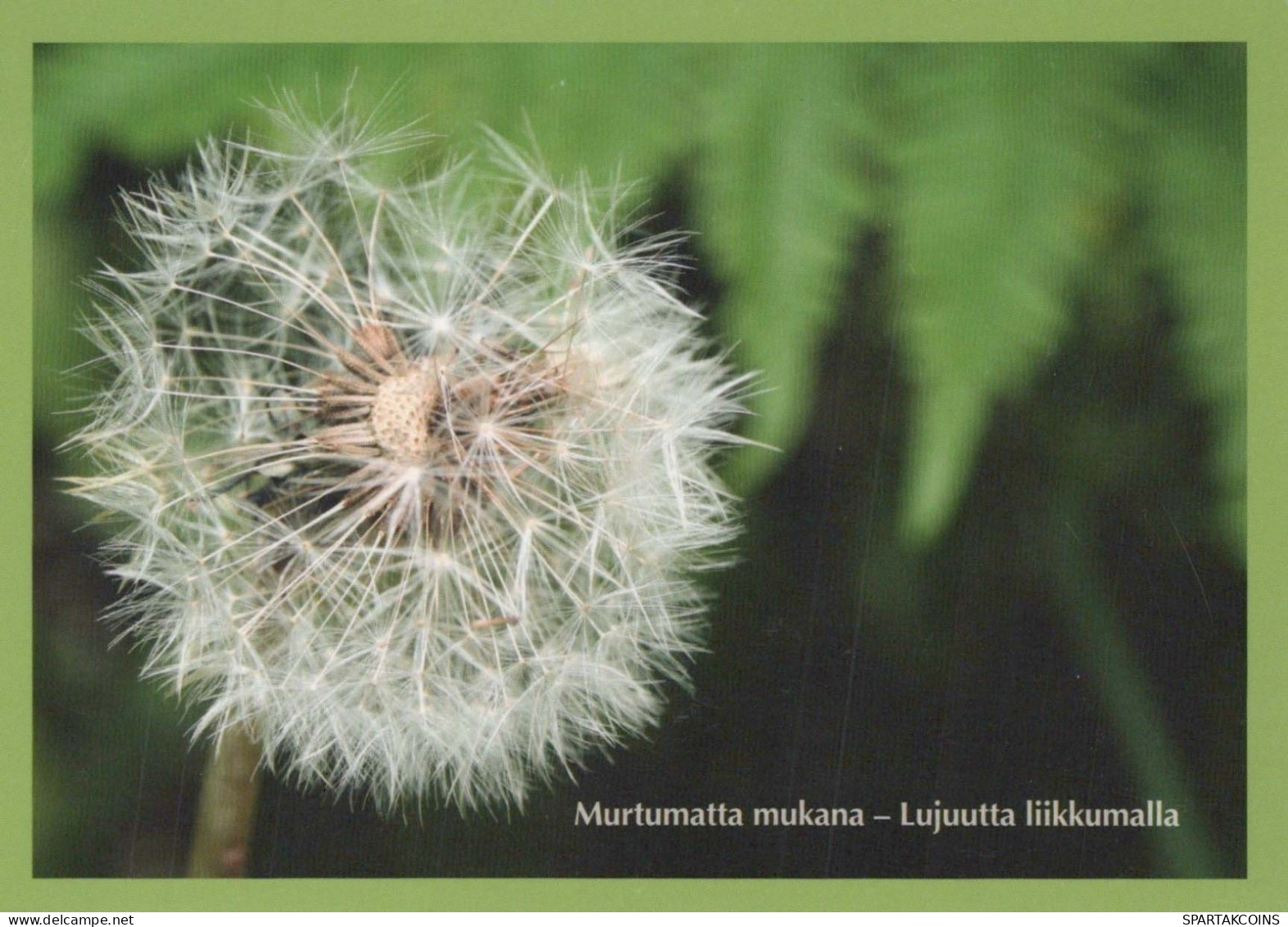 FLEURS Vintage Carte Postale CPSM #PBZ682.FR - Bloemen