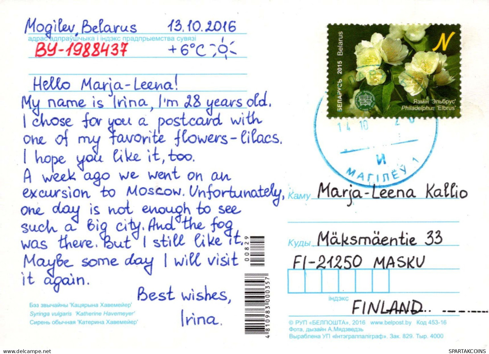 FLEURS Vintage Carte Postale CPSM #PBZ202.FR - Flowers
