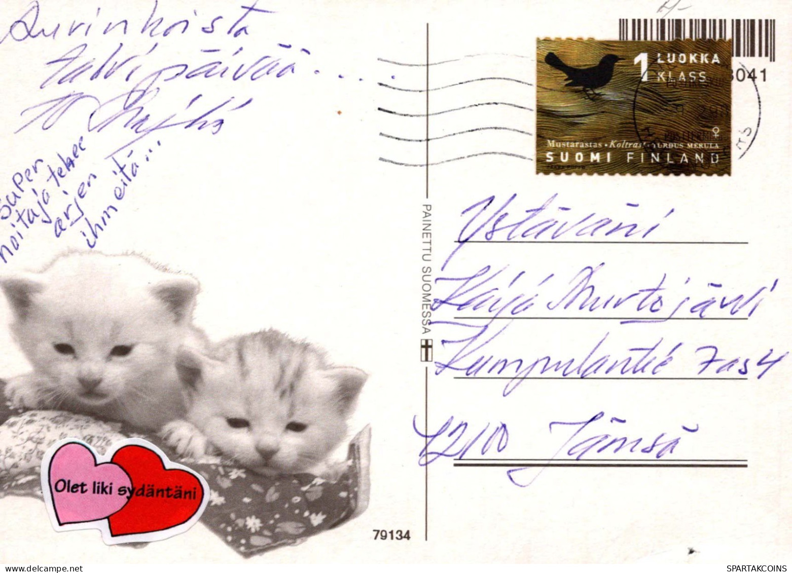 CHIEN Animaux Vintage Carte Postale CPSM #PBQ713.FR - Cani