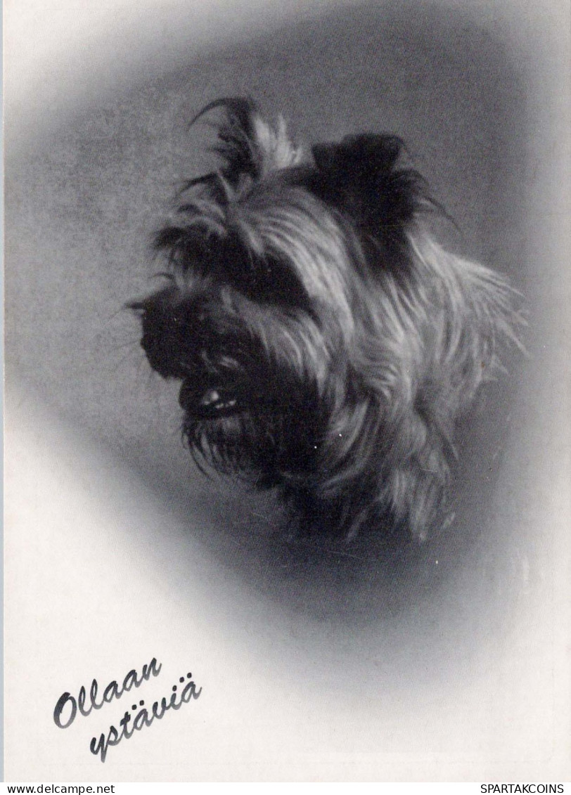 CHIEN Animaux Vintage Carte Postale CPSM #PBQ375.FR - Chiens