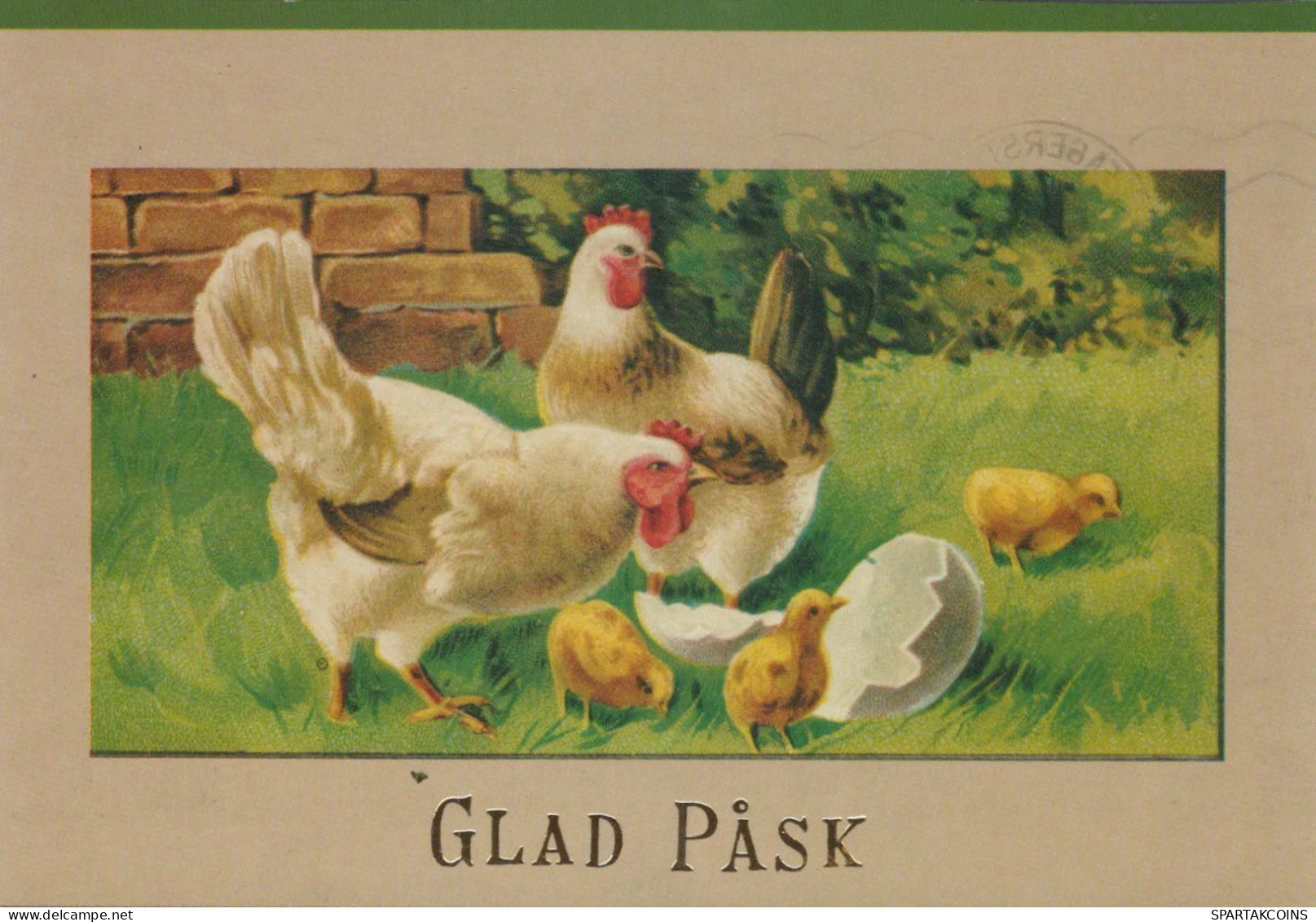 PÂQUES POULET Vintage Carte Postale CPSM #PBO982.FR - Ostern