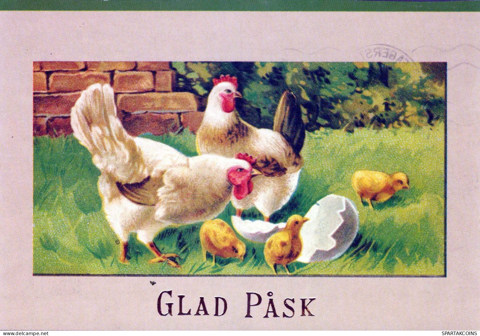 PÂQUES POULET Vintage Carte Postale CPSM #PBO982.FR - Easter