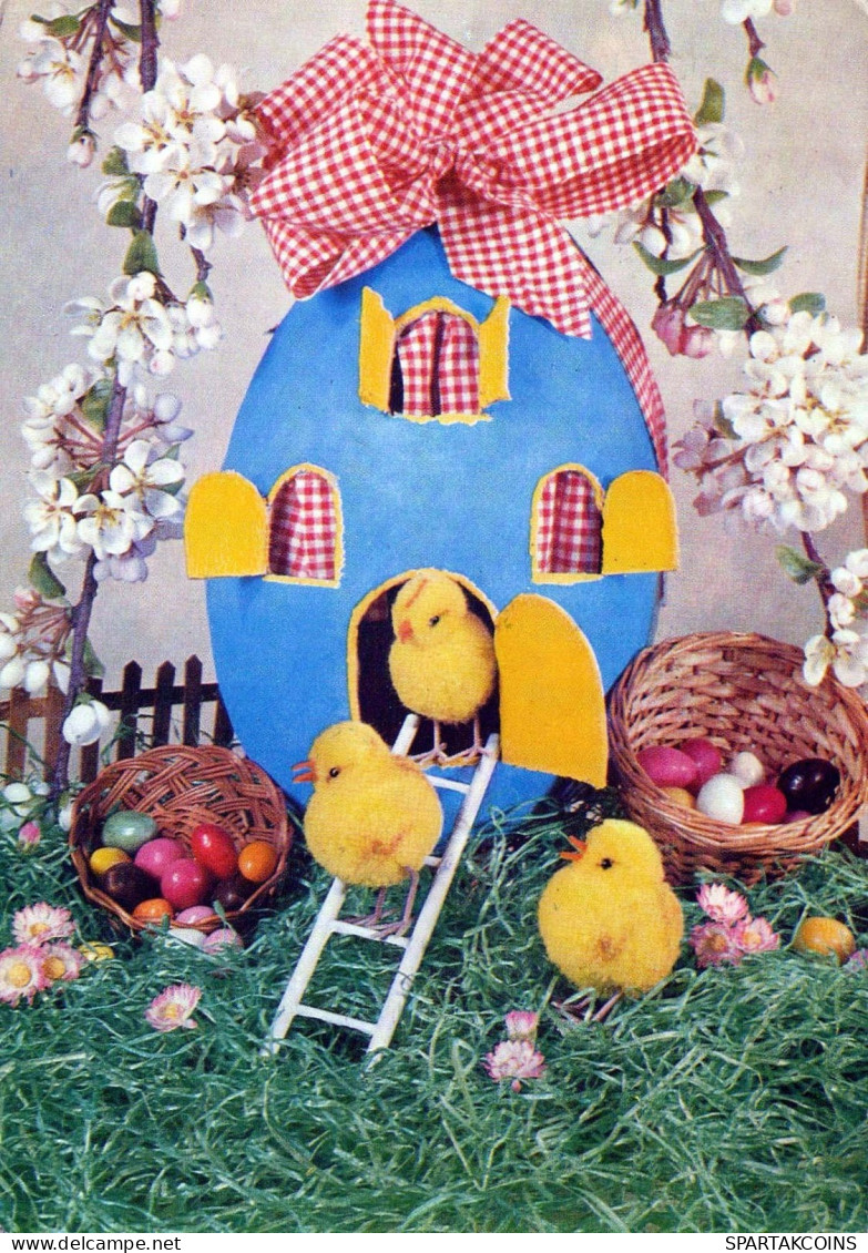 PÂQUES POULET ŒUF Vintage Carte Postale CPSM #PBO606.FR - Easter