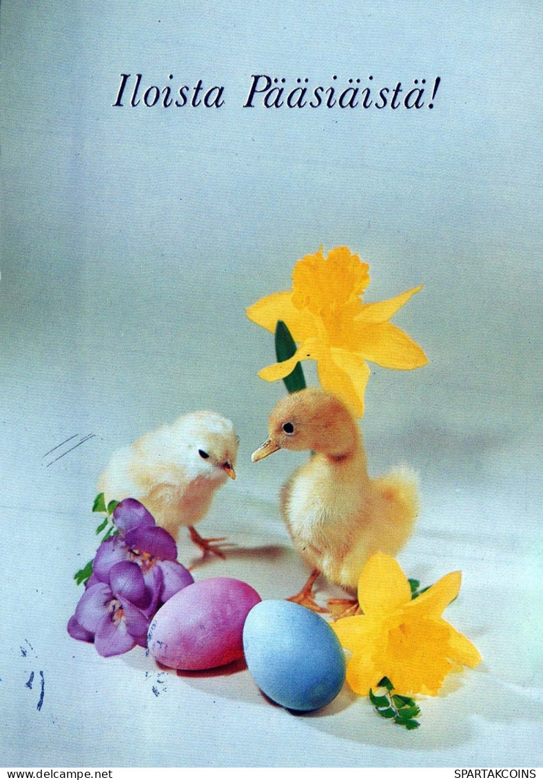 PÂQUES ŒUF Vintage Carte Postale CPSM #PBO224.FR - Easter