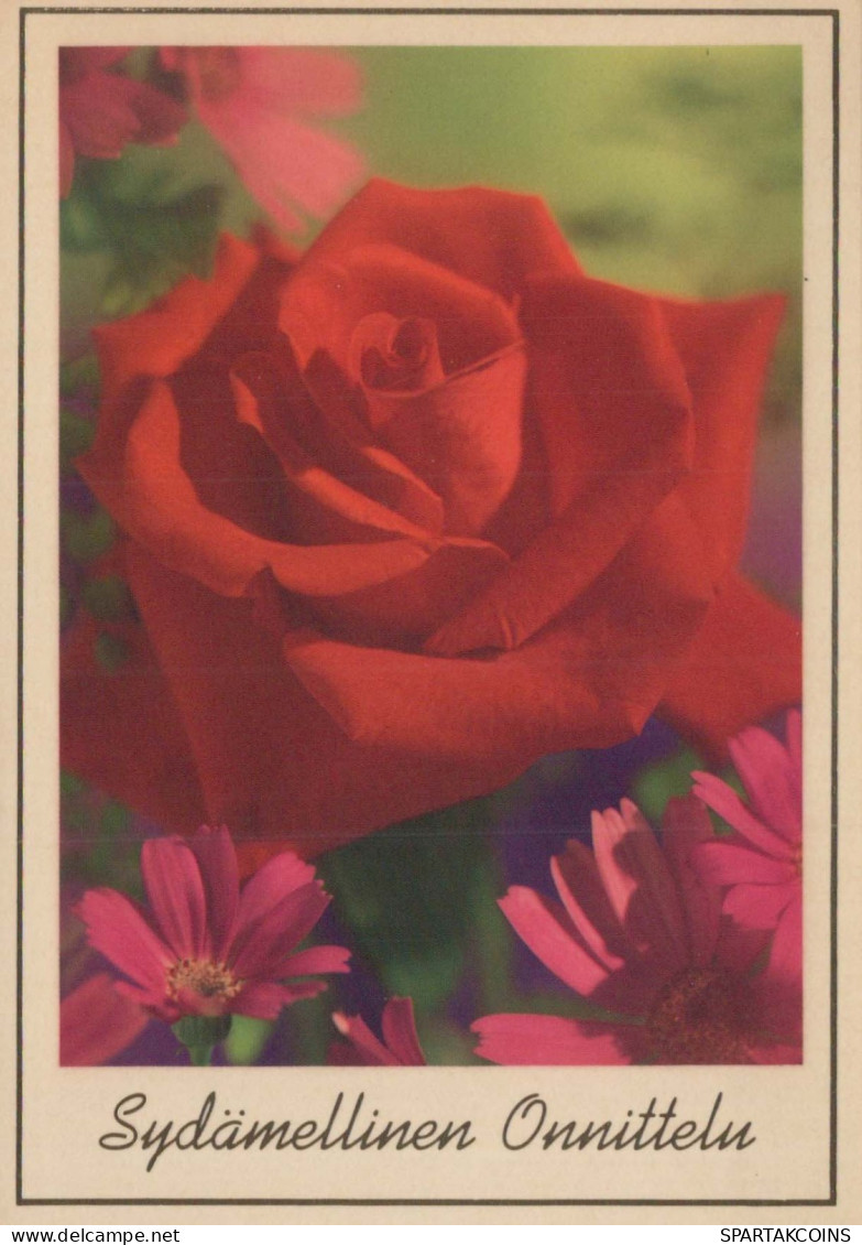 FLEURS Vintage Carte Postale CPSM #PAS215.FR - Bloemen