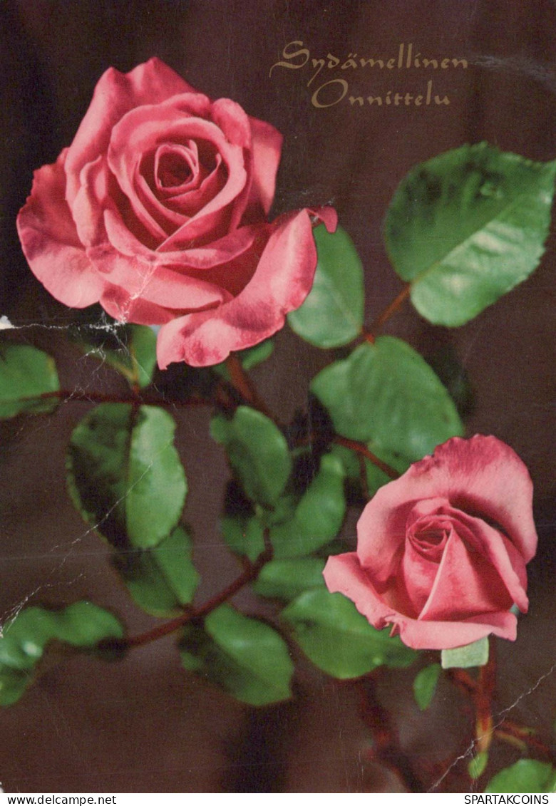 FLEURS Vintage Carte Postale CPSM #PAS155.FR - Flowers