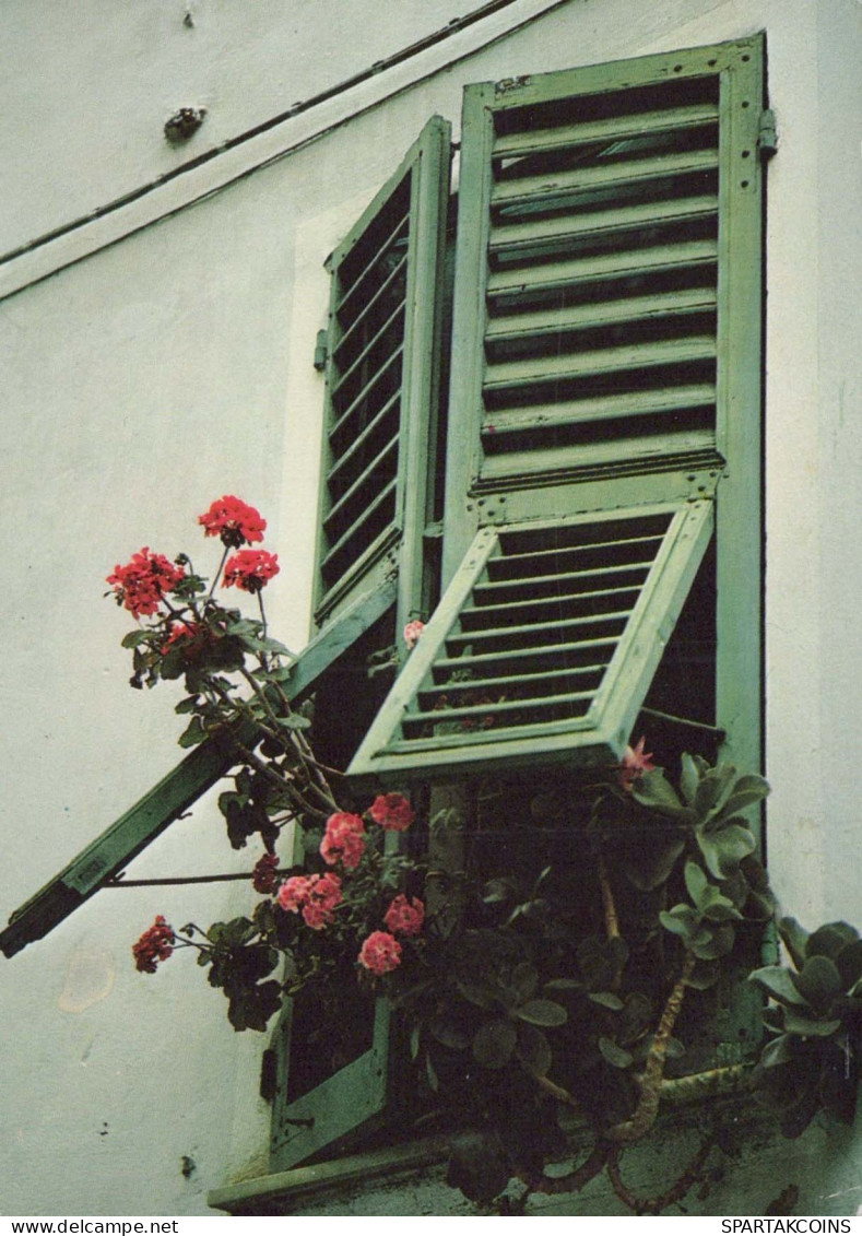 FLEURS Vintage Carte Postale CPSM #PAR614.FR - Flowers