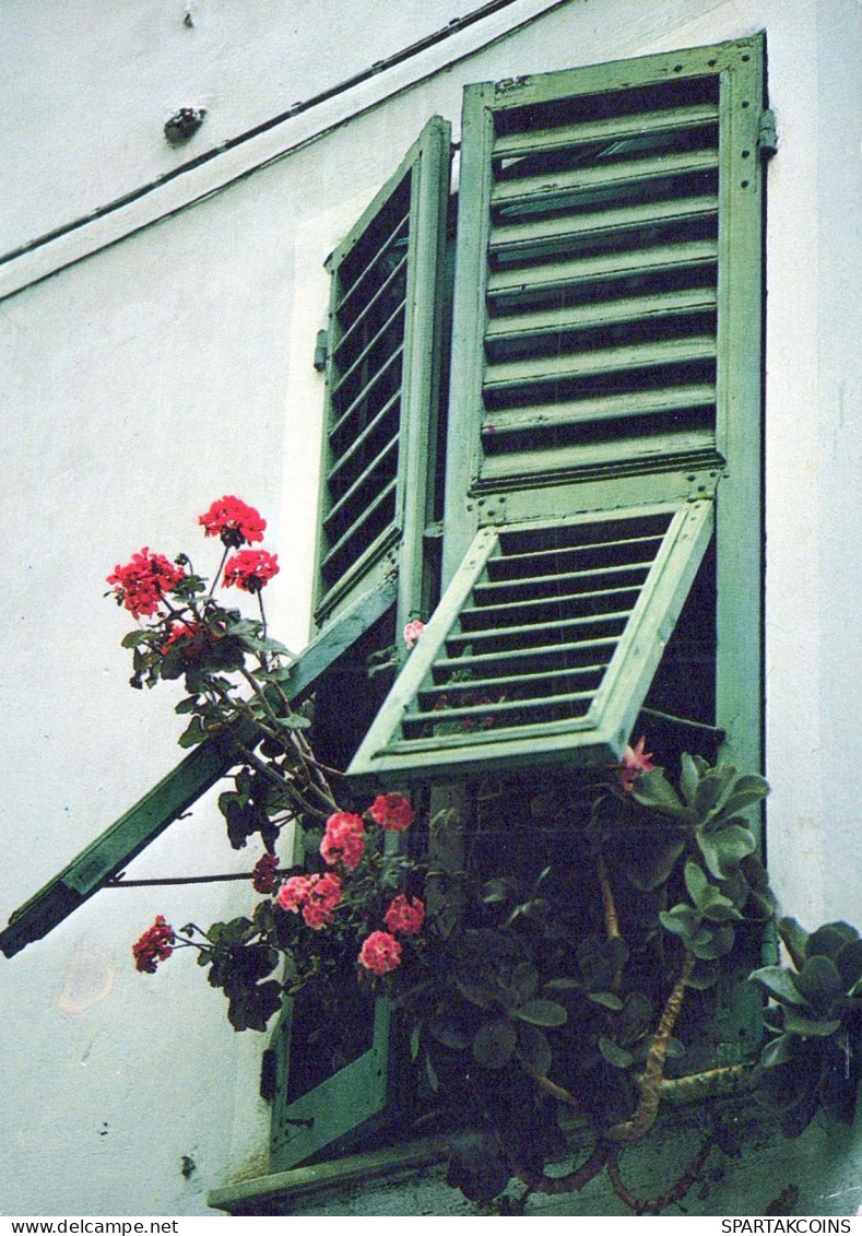 FLEURS Vintage Carte Postale CPSM #PAR614.FR - Bloemen