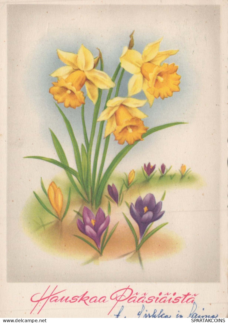 FLEURS Vintage Carte Postale CPSM #PAR072.FR - Flowers