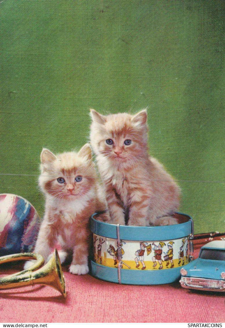 CHAT CHAT Animaux Vintage Carte Postale CPSM #PAM297.FR - Chats