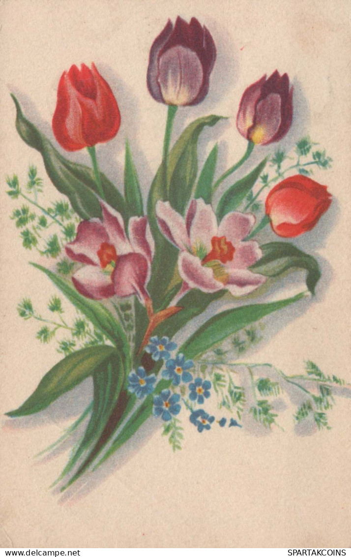 FLOWERS Vintage Postcard CPA #PKE736.GB - Fiori