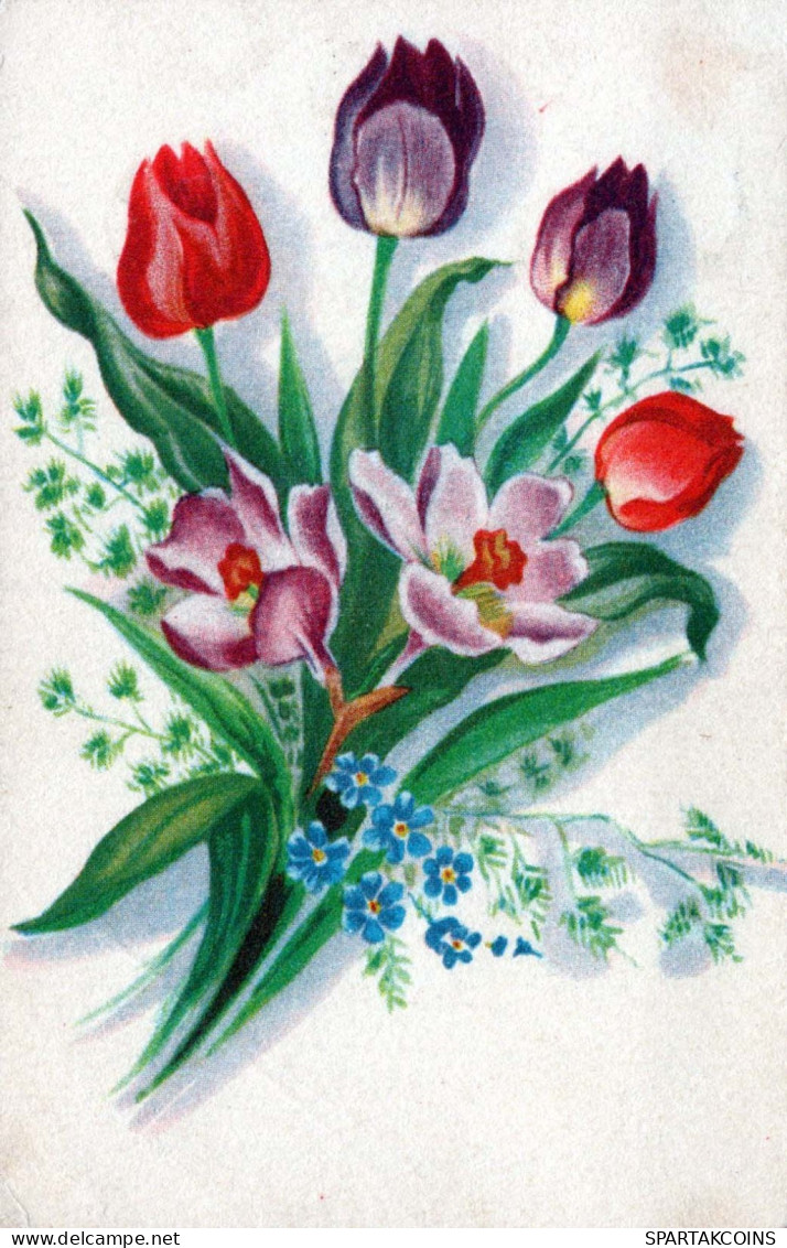 FLOWERS Vintage Postcard CPA #PKE736.GB - Flowers