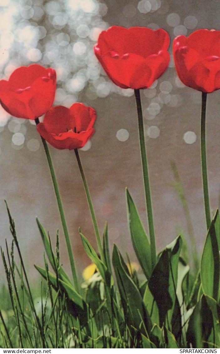 FLOWERS Vintage Postcard CPA #PKE554.GB - Flowers