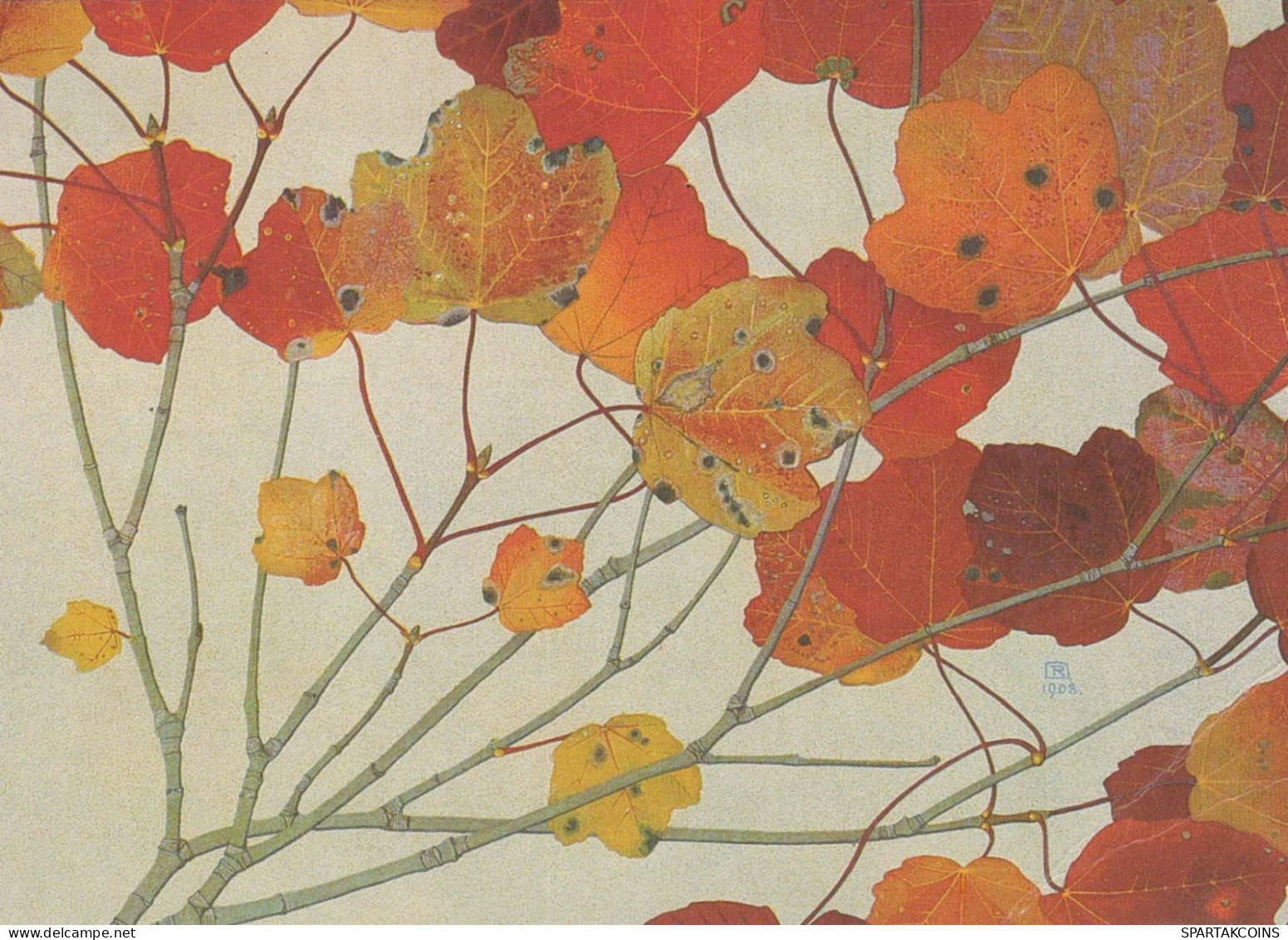 FLOWERS Vintage Postcard CPSM #PBZ080.GB - Flowers