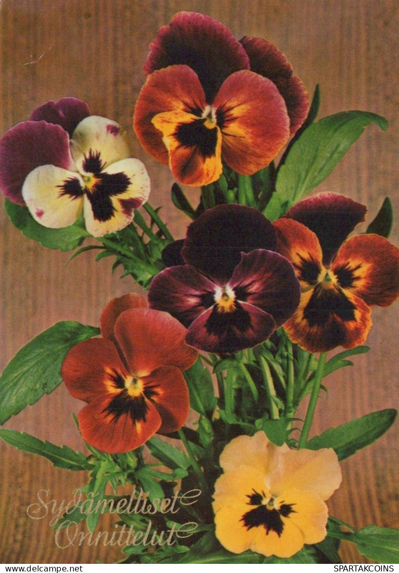 FLOWERS Vintage Postcard CPSM #PBZ380.GB - Fiori