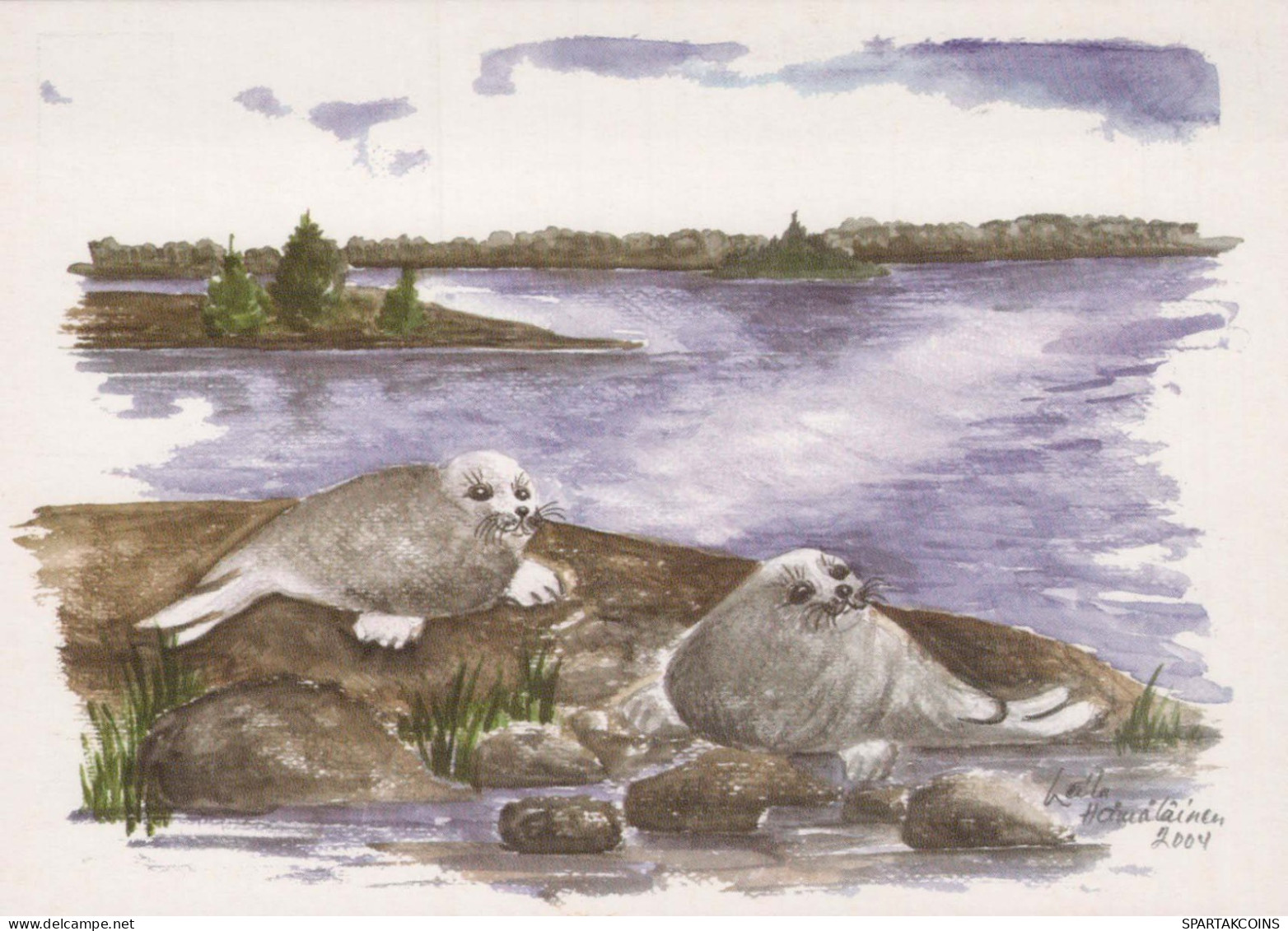 SEAL Animals Vintage Postcard CPSM #PBS651.GB - Sonstige & Ohne Zuordnung