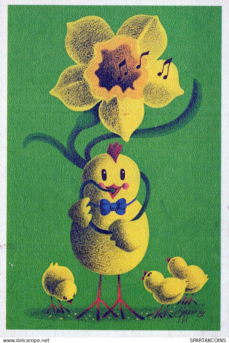 BIRD Animals Vintage Postcard CPSM #PBR615.GB - Vogels