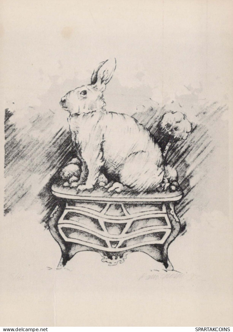 RABBIT Animals Vintage Postcard CPSM #PBR154.GB - Other & Unclassified