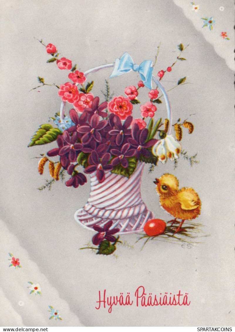 EASTER CHICKEN EGG Vintage Postcard CPSM #PBP046.GB - Pâques