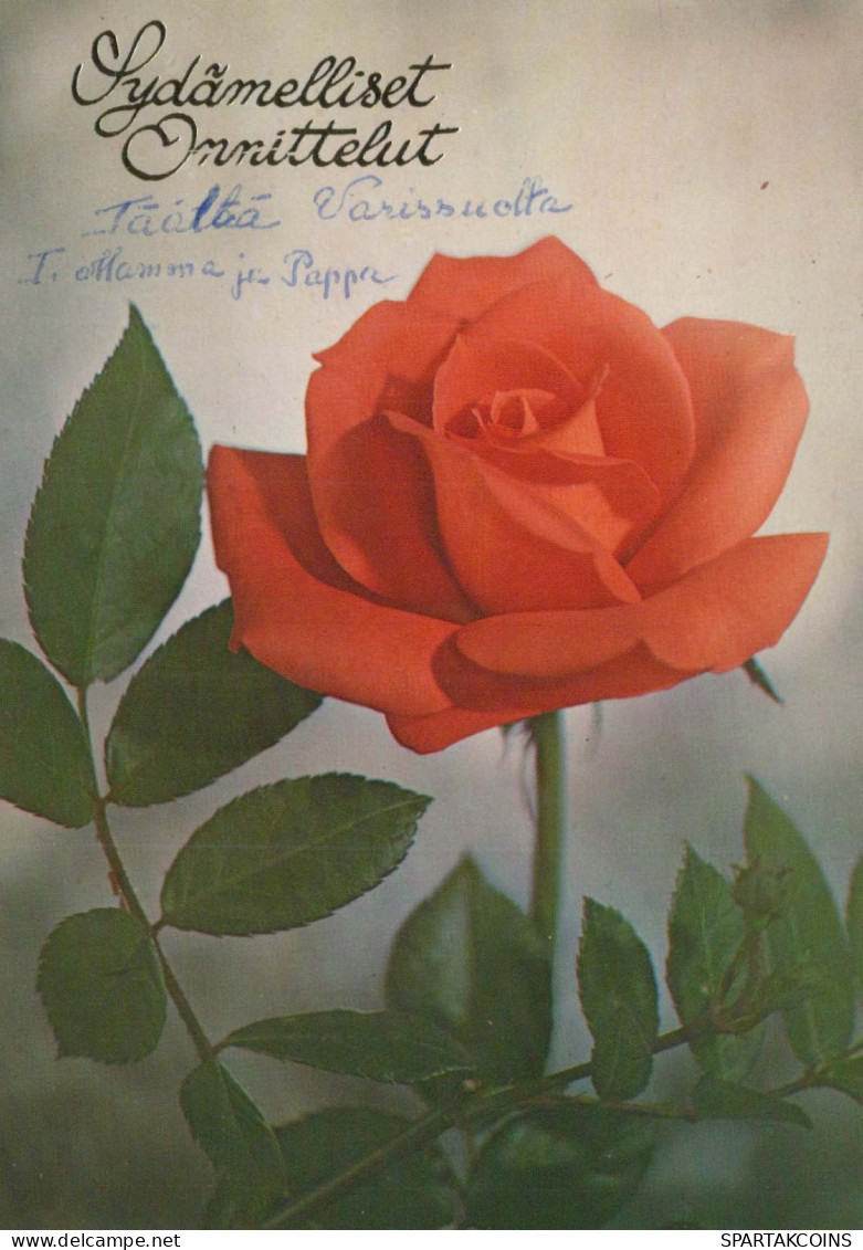FLOWERS Vintage Postcard CPSM #PAS213.GB - Fiori