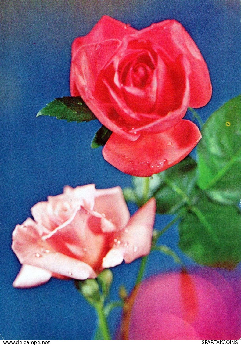 FLOWERS Vintage Postcard CPSM #PAS153.GB - Fiori