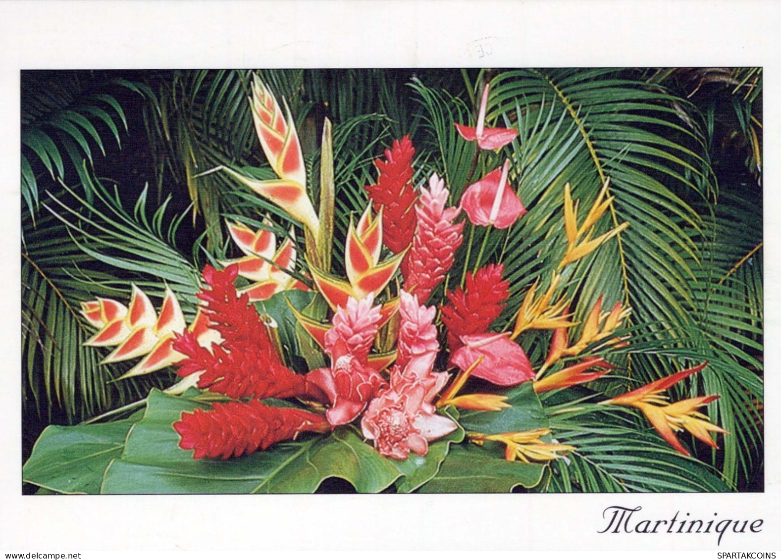 FLOWERS Vintage Postcard CPSM #PAR732.GB - Blumen