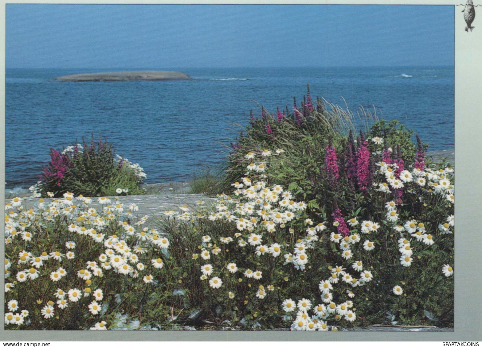 FLOWERS Vintage Postcard CPSM #PAR672.GB - Fiori