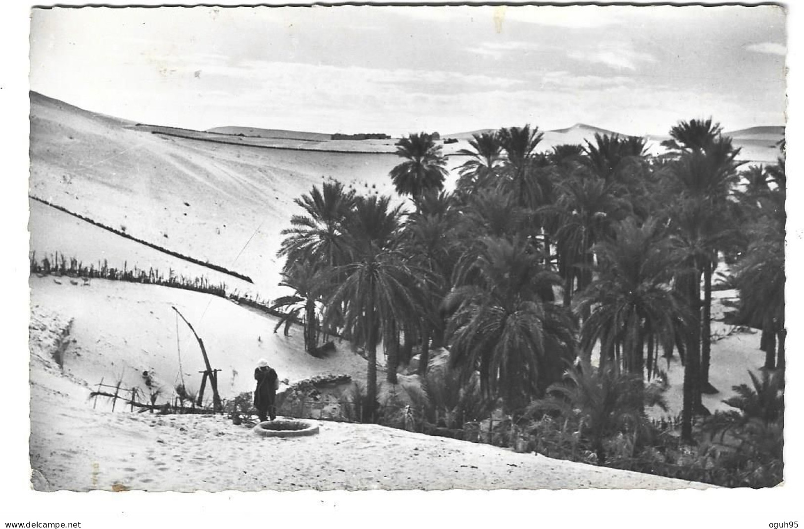 Algérie - EL OUED - Lot De 2 Cartes - N°2 -  (Voir Paragraphe Description) - El-Oued