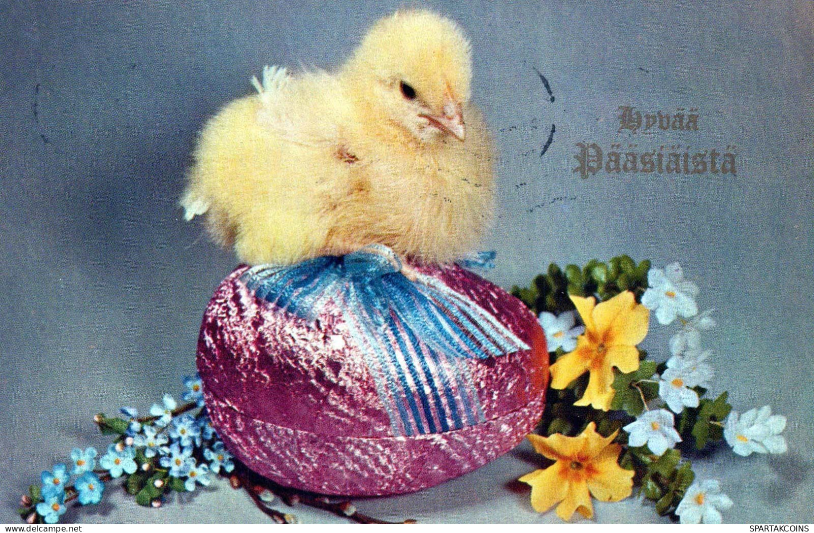 PASQUA POLLO UOVO Vintage Cartolina CPA #PKE430.IT - Pasen