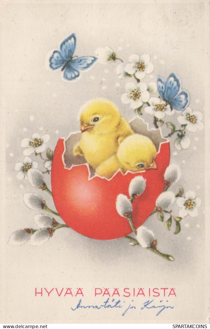 PASQUA POLLO UOVO Vintage Cartolina CPA #PKE114.IT - Ostern