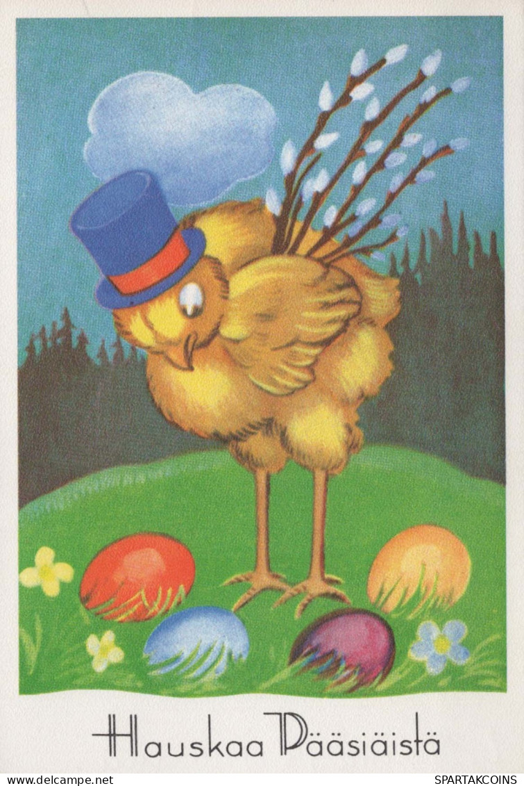 PASQUA POLLO UOVO Vintage Cartolina CPSM #PBP050.IT - Pasen