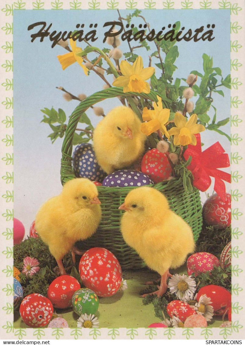 PASQUA POLLO UOVO Vintage Cartolina CPSM #PBO794.IT - Ostern