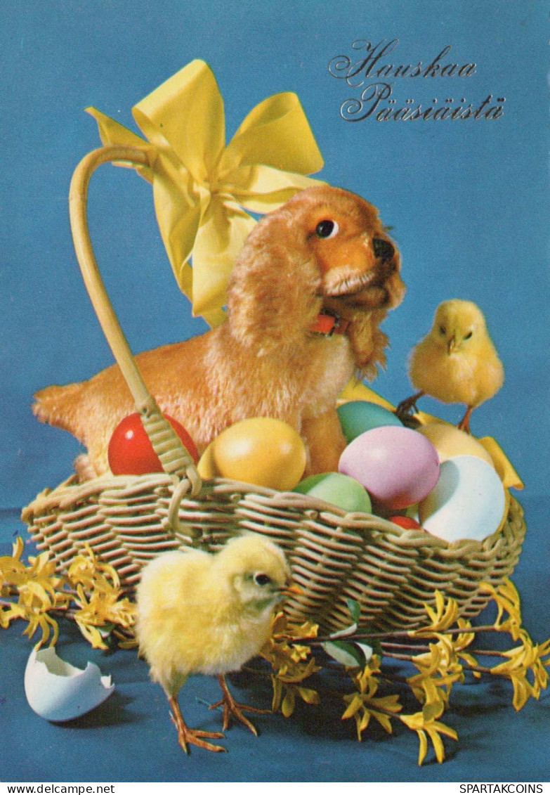 PASQUA POLLO UOVO Vintage Cartolina CPSM #PBO732.IT - Easter