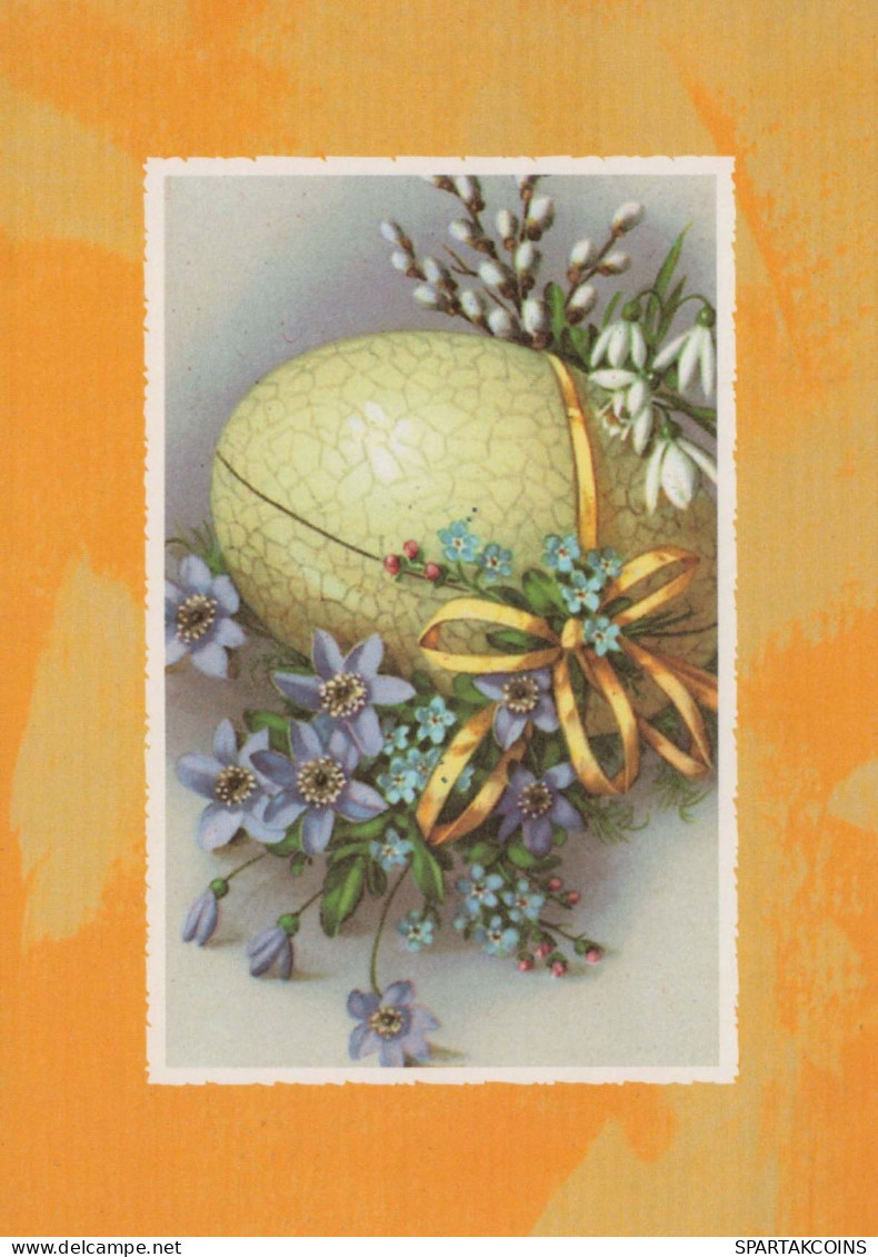 PASQUA UOVO Vintage Cartolina CPSM #PBO166.IT - Easter