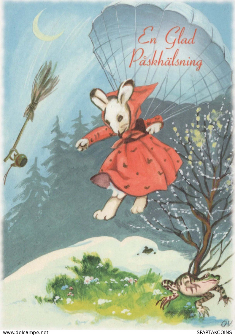 PASQUA CONIGLIO Vintage Cartolina CPSM #PBO355.IT - Pasqua