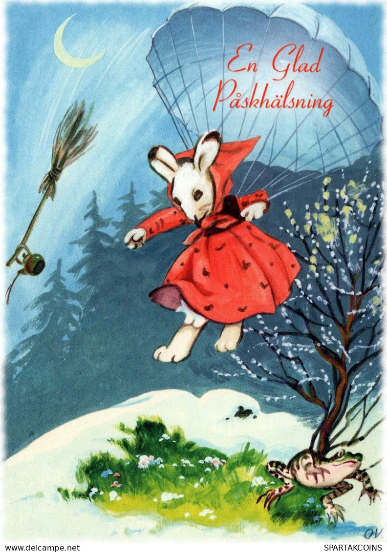 PASQUA CONIGLIO Vintage Cartolina CPSM #PBO355.IT - Ostern