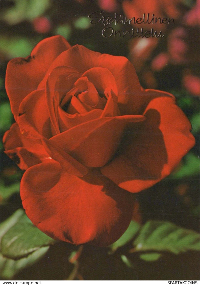 FIORI Vintage Cartolina CPSM #PAS337.IT - Flowers