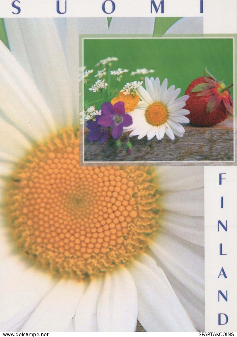 FIORI Vintage Cartolina CPSM #PAR676.IT - Fleurs