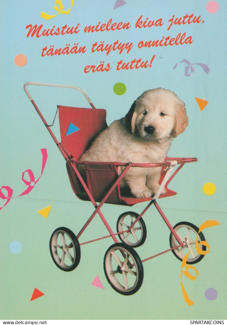 CANE Animale Vintage Cartolina CPSM #PAN817.IT - Cani